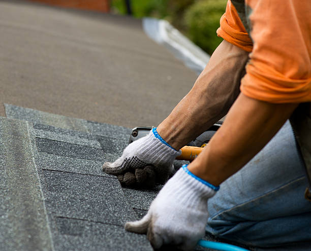 Best Roof Gutter Cleaning  in Marshall, TX